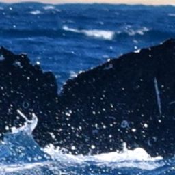 Fluke of CRC-18540