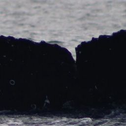 Fluke of CRC-21307