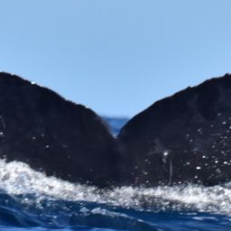 Fluke of CRC-20345