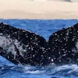 Fluke of HW-MN0522035