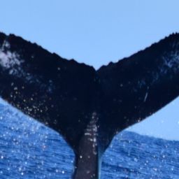 Fluke of HW-MN0522119