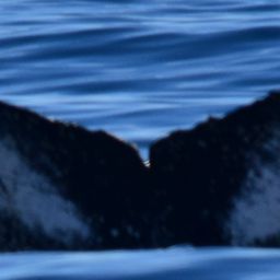 Fluke of CRC-21320