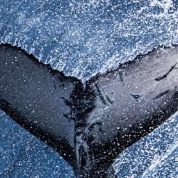 Fluke of CRC-21323
