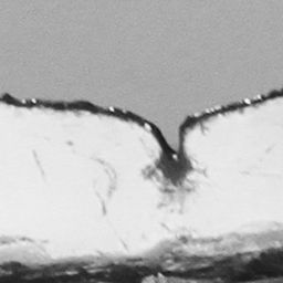 Fluke of CRC-12195