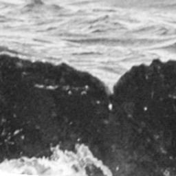 Fluke of SPLASH-520244