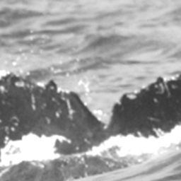 Fluke of SPLASH-420288
