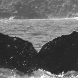 Fluke of SPLASH-420252