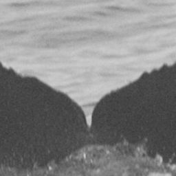 Fluke of CRC-16207