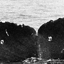 Fluke of CRC-19306