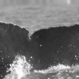 Fluke of BCX0651