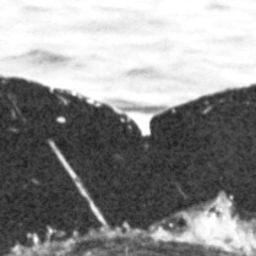Fluke of BCX0192