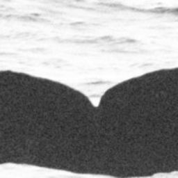 Fluke of BCX0756