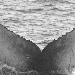 Fluke of CRC-15250