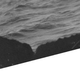Fluke of BCX0881