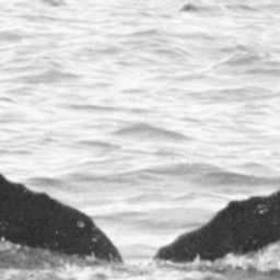 Fluke of BCY0388
