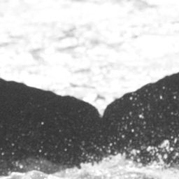 Fluke of BCX0659