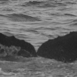 Fluke of BCY0323