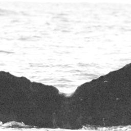 Fluke of SEAK-2717