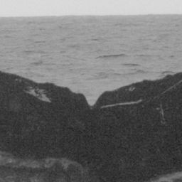 Fluke of SPLASH-430386