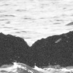 Fluke of SPLASH-430581