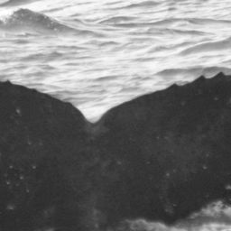 Fluke of SPLASH-530823