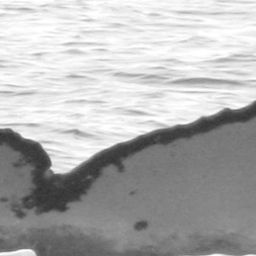 Fluke of SPLASH-630012