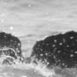Fluke of SPLASH-631060