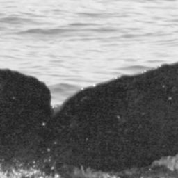 Fluke of SPLASH-630485