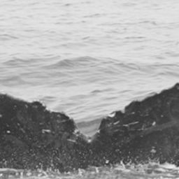 Fluke of SPLASH-430300