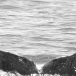 Fluke of SPLASH-630935