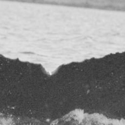 Fluke of SPLASH-570256
