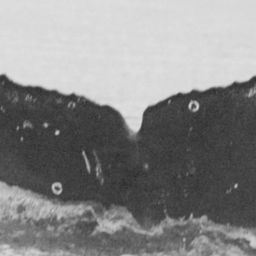 Fluke of SPLASH-470356