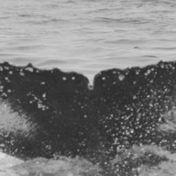 Fluke of Gemini