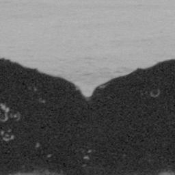 Fluke of CRC-11637