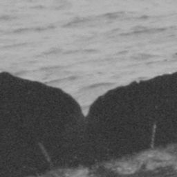 Fluke of FIBB-5BB1249