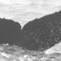 Fluke of CRC-15063