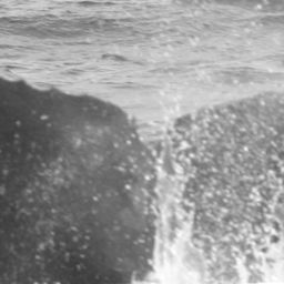 Fluke of SPLASH-470295