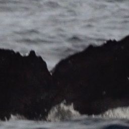 Fluke of CRC-10780