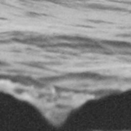 Fluke of SPLASH-470946