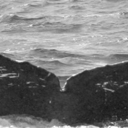 Fluke of SPLASH-630684