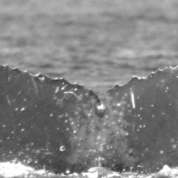Fluke of Subluxation