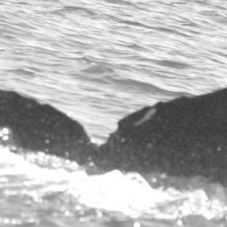 Fluke of SPLASH-430472