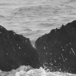 Fluke of SPLASH-630884
