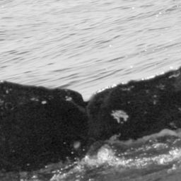 Fluke of SPLASH-631067
