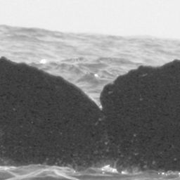 Fluke of CRC-12088