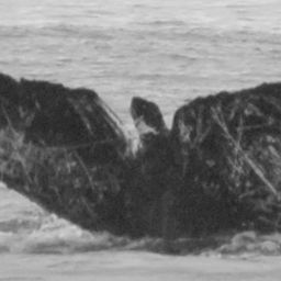 Fluke of CRC-10926