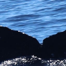 Fluke of HW-MN0442726