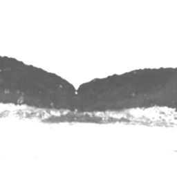Fluke of Kihumana