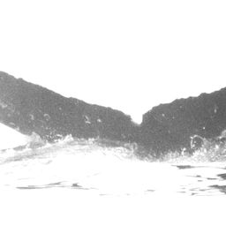 Fluke of Punihaawina