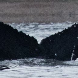 Fluke of Haukai